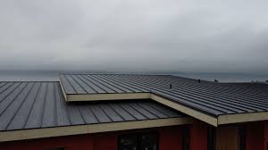 Best Emergency Roof Repair Services  in Pioneer, OH